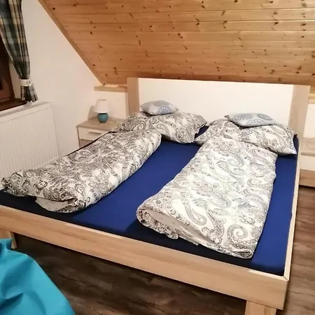 Dvě Micky