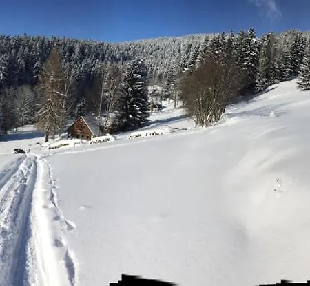 Dve Micky Séjour chez l'habitant *