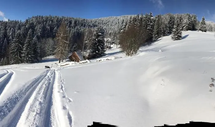 Dve Micky Accommodatie bij particulieren *